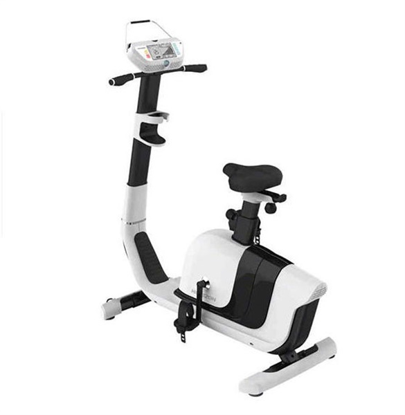 دوچرخه ثابت خانگی هورایزن مدل Comfort 3